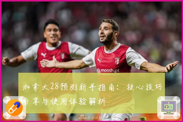 加拿大28预测新手指南：核心技巧分享与使用体验解析