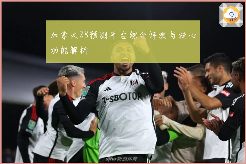加拿大28预测平台综合评测与核心功能解析