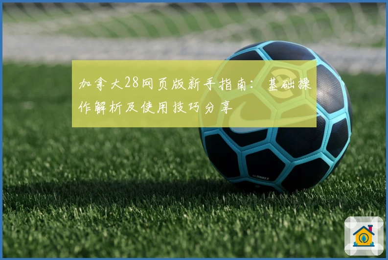 加拿大28网页版新手指南：基础操作解析及使用技巧分享