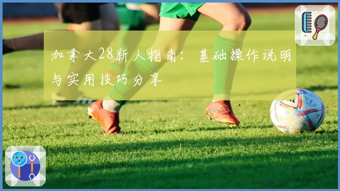 加拿大28新人指南：基础操作说明与实用技巧分享