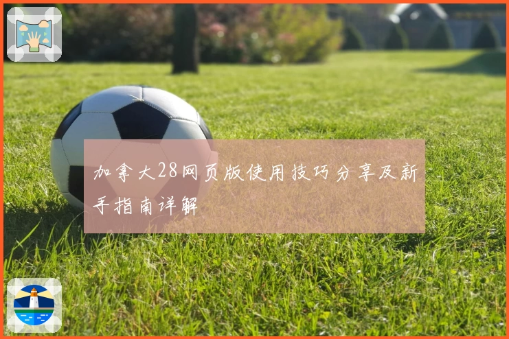 加拿大28网页版使用技巧分享及新手指南详解