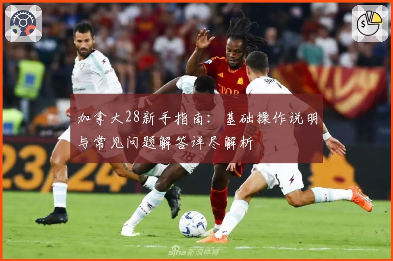 加拿大28新手指南：基础操作说明与常见问题解答详尽解析