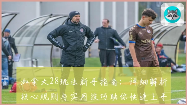 加拿大28玩法新手指南:详细解析核心规则与实用技巧助你快速上手