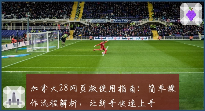加拿大28网页版使用指南：简单操作流程解析，让新手快速上手