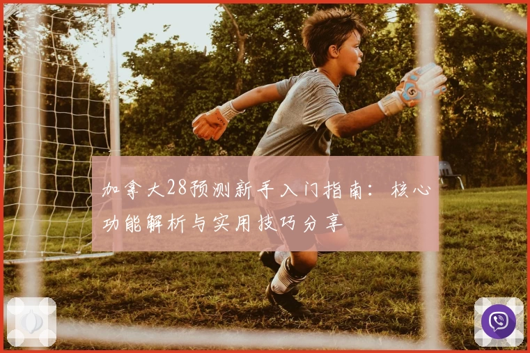 加拿大28预测新手入门指南：核心功能解析与实用技巧分享