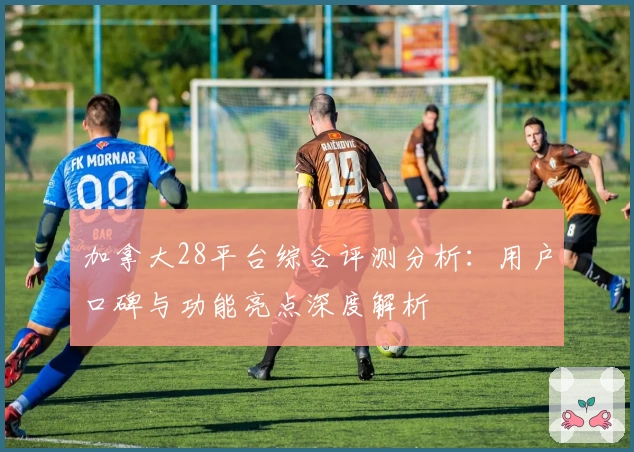 加拿大28平台综合评测分析：用户口碑与功能亮点深度解析