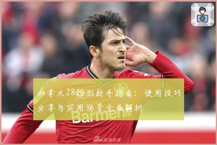 加拿大28预测新手指南：使用技巧分享与实用场景全面解析