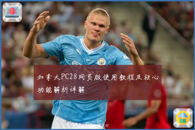 加拿大PC28网页版使用教程及核心功能解析详解