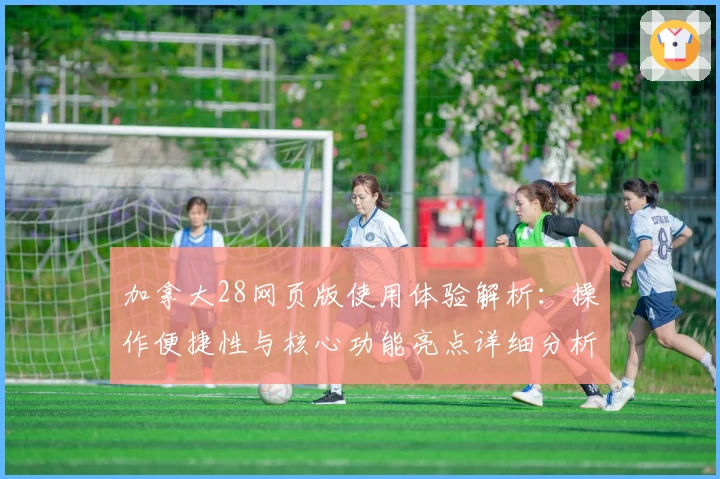 加拿大28网页版使用体验解析：操作便捷性与核心功能亮点详细分析