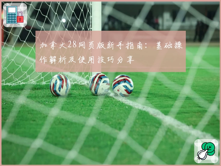 加拿大28网页版新手指南：基础操作解析及使用技巧分享