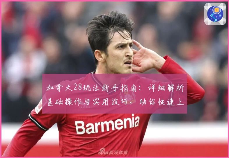 加拿大28玩法新手指南：详细解析基础操作与实用技巧，助你快速上手