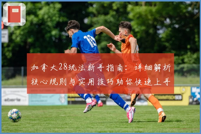 加拿大28玩法新手指南：详细解析核心规则与实用技巧助你快速上手