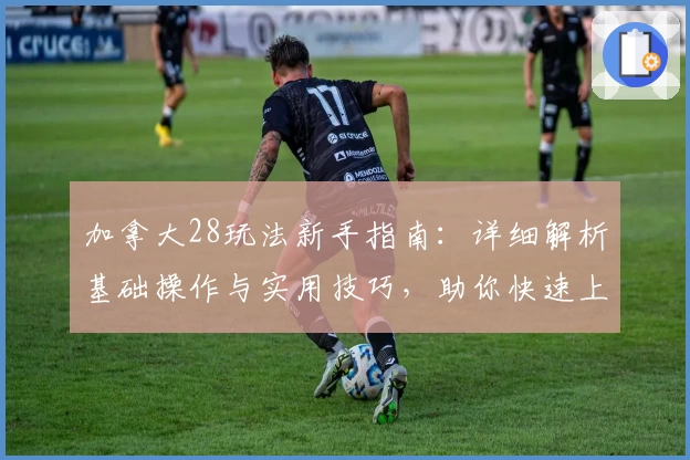 加拿大28玩法新手指南：详细解析基础操作与实用技巧，助你快速上手